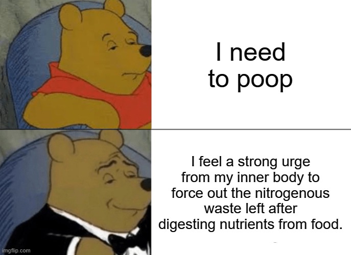 Fancy Sh*t | I need to poop; I feel a strong urge from my inner body to force out the nitrogenous waste left after digesting nutrients from food. | image tagged in memes,tuxedo winnie the pooh | made w/ Imgflip meme maker