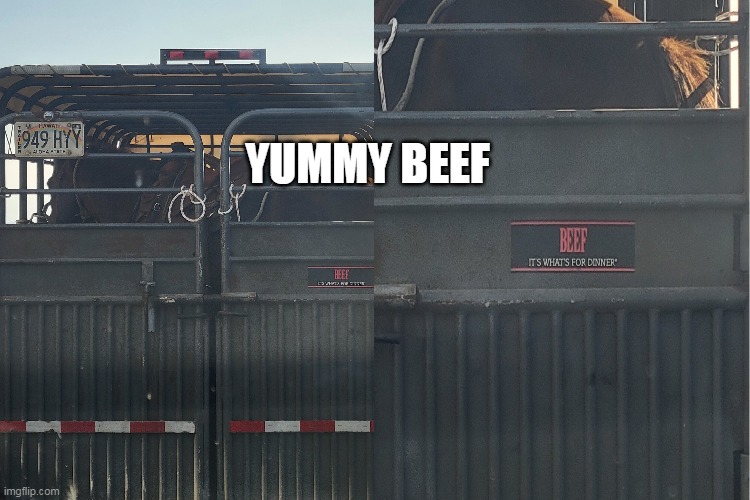 Rejected by the Glue Factory | YUMMY BEEF | image tagged in meme,memes,signs | made w/ Imgflip meme maker