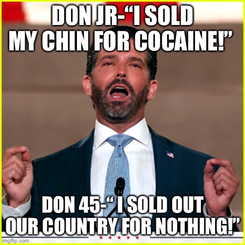 COCAINE! | DON JR-“I SOLD MY CHIN FOR COCAINE!”; DON 45-“ I SOLD OUT OUR COUNTRY FOR NOTHING!” | image tagged in cocaine | made w/ Imgflip meme maker