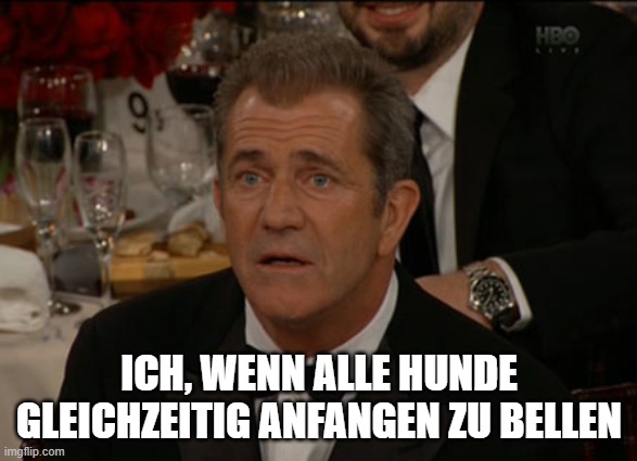 Confused Mel Gibson Meme | ICH, WENN ALLE HUNDE GLEICHZEITIG ANFANGEN ZU BELLEN | image tagged in memes,confused mel gibson | made w/ Imgflip meme maker