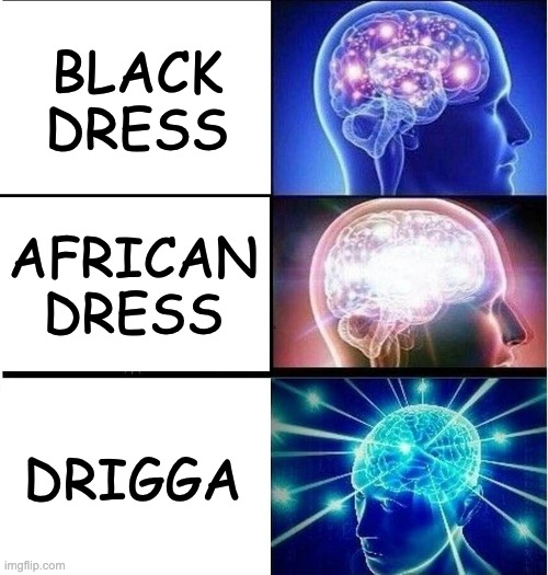 Drigga meme | BLACK DRESS; AFRICAN DRESS; DRIGGA | image tagged in expanding brain 3 panels,n-word pass | made w/ Imgflip meme maker