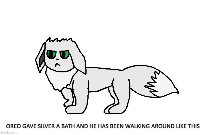 He is so cute when he is angry | OREO GAVE SILVER A BATH AND HE HAS BEEN WALKING AROUND LIKE THIS | image tagged in eevee,angry | made w/ Imgflip meme maker