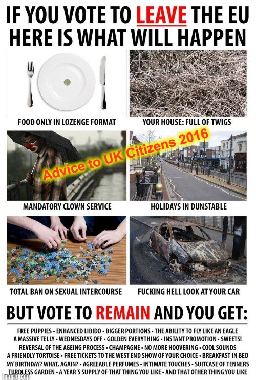 Brexit Advice to UK Citizens 2016 | Advice to UK Citizens 2016 | image tagged in balls | made w/ Imgflip meme maker