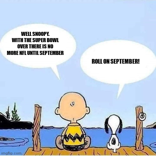 Anybody else feeling this? | WELL SNOOPY. WITH THE SUPER BOWL OVER THERE IS NO MORE NFL UNTIL SEPTEMBER; ROLL ON SEPTEMBER! | image tagged in charlie brown and snoopy bonding talk,memes,super bowl,super bowl 56,nfl | made w/ Imgflip meme maker