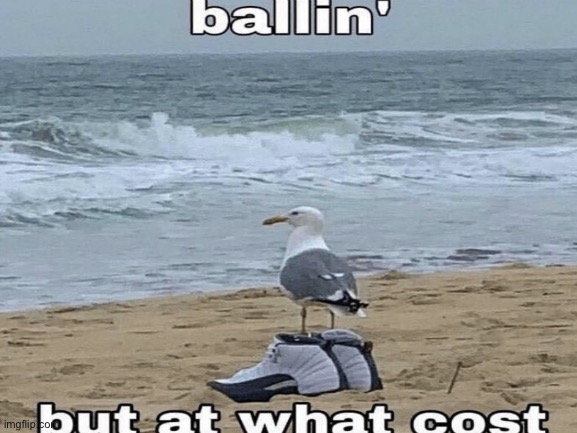 Ballin but at what cost | image tagged in basketball,birds,michael jordan | made w/ Imgflip meme maker