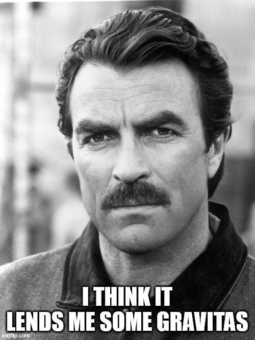 moustache | I THINK IT LENDS ME SOME GRAVITAS | image tagged in moustache | made w/ Imgflip meme maker