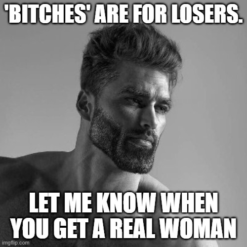sick of those 'no bitches' memes? yeah me too | 'BITCHES' ARE FOR LOSERS. LET ME KNOW WHEN YOU GET A REAL WOMAN | image tagged in memes | made w/ Imgflip meme maker