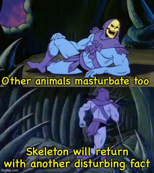 Skeletor disturbing facts | Other animals masturbate too Skeleton will return with another disturbing fact | image tagged in skeletor disturbing facts | made w/ Imgflip meme maker