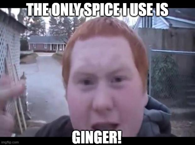 Ginger Imgflip