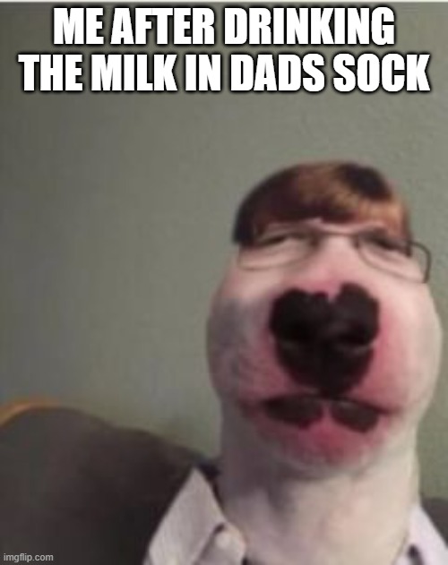 Press Y for same | ME AFTER DRINKING THE MILK IN DADS SOCK | image tagged in me when the when the,cursed | made w/ Imgflip meme maker