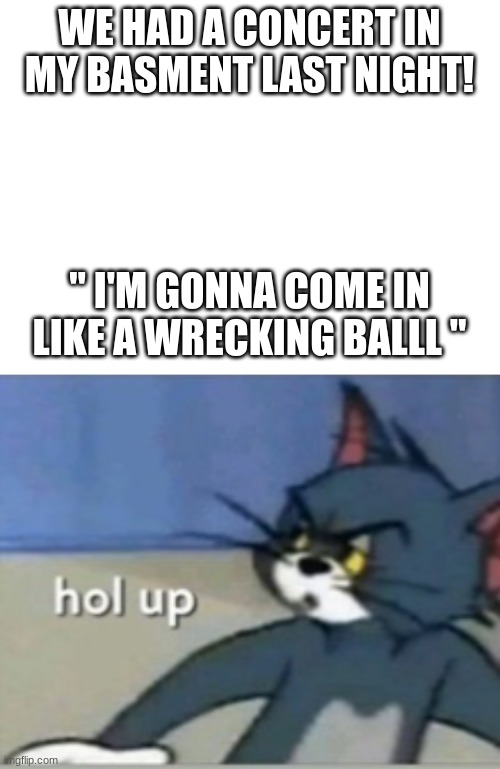 Hol | WE HAD A CONCERT IN MY BASMENT LAST NIGHT! " I'M GONNA COME IN LIKE A WRECKING BALLL " | image tagged in blank white template,hol up | made w/ Imgflip meme maker