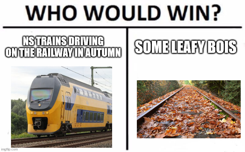 NS during autumn | NS TRAINS DRIVING ON THE RAILWAY IN AUTUMN; SOME LEAFY BOIS | image tagged in memes,who would win | made w/ Imgflip meme maker