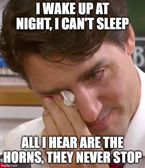 Get used to it punk | I WAKE UP AT NIGHT, I CAN'T SLEEP; ALL I HEAR ARE THE HORNS, THEY NEVER STOP | image tagged in justin trudeau crying,get used to it,truckers for freedom,end the mandates,joins the battle,globalist scum | made w/ Imgflip meme maker