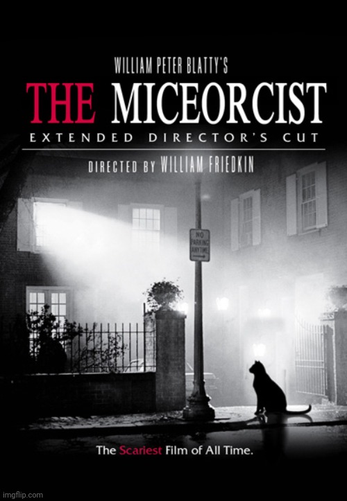 The Miceorcist | image tagged in cats,funny cats,the exorcist,classic movies,funny,fun | made w/ Imgflip meme maker
