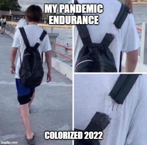 Can we just get past this already? | MY PANDEMIC ENDURANCE; COLORIZED 2022 | image tagged in broken backpack strap barely hanging on by a thread,memes,pandemic,covid-19,won't stop can't stop | made w/ Imgflip meme maker