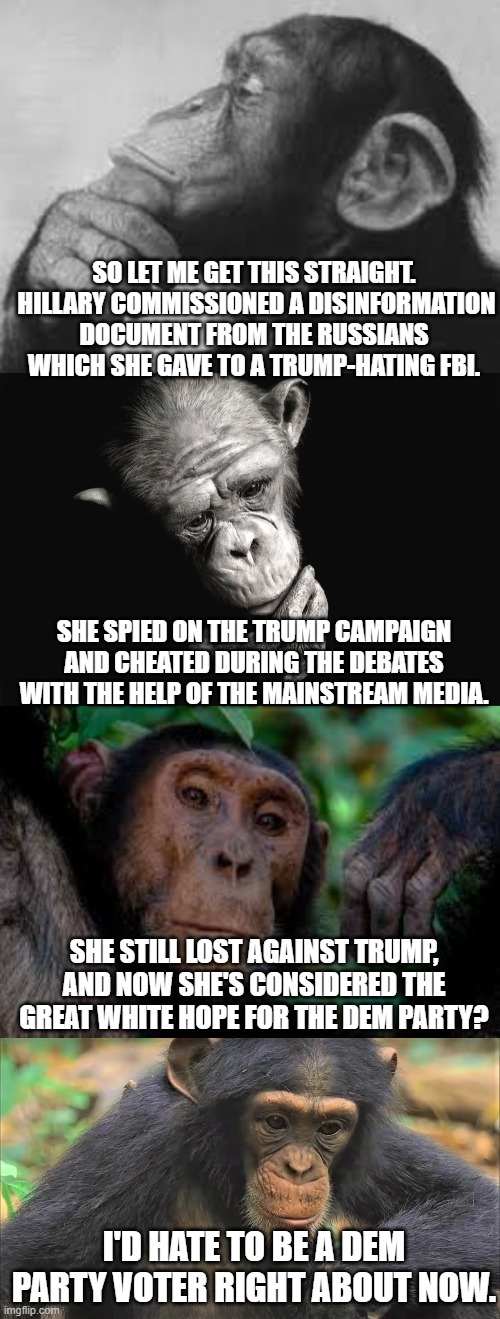 Yes . . . Hillary IS the Best that the Dem Party has got.  Sad . . .isn't it? | SO LET ME GET THIS STRAIGHT.  HILLARY COMMISSIONED A DISINFORMATION DOCUMENT FROM THE RUSSIANS WHICH SHE GAVE TO A TRUMP-HATING FBI. SHE SPIED ON THE TRUMP CAMPAIGN AND CHEATED DURING THE DEBATES WITH THE HELP OF THE MAINSTREAM MEDIA. SHE STILL LOST AGAINST TRUMP, AND NOW SHE'S CONSIDERED THE GREAT WHITE HOPE FOR THE DEM PARTY? I'D HATE TO BE A DEM PARTY VOTER RIGHT ABOUT NOW. | image tagged in corruption,hillary clinton,the dem party | made w/ Imgflip meme maker