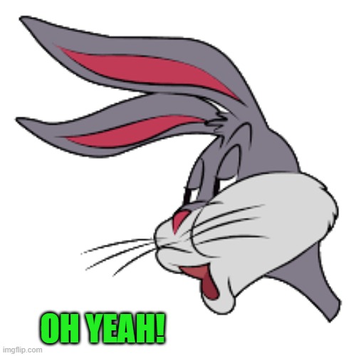 OH YEAH! | image tagged in bunny | made w/ Imgflip meme maker