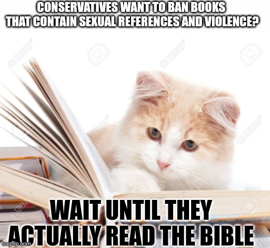 Why do people want to ban books? | CONSERVATIVES WANT TO BAN BOOKS 

THAT CONTAIN SEXUAL REFERENCES AND VIOLENCE? WAIT UNTIL THEY ACTUALLY READ THE BIBLE | image tagged in lolcat,books,bible,conservatives,hypocrisy | made w/ Imgflip meme maker