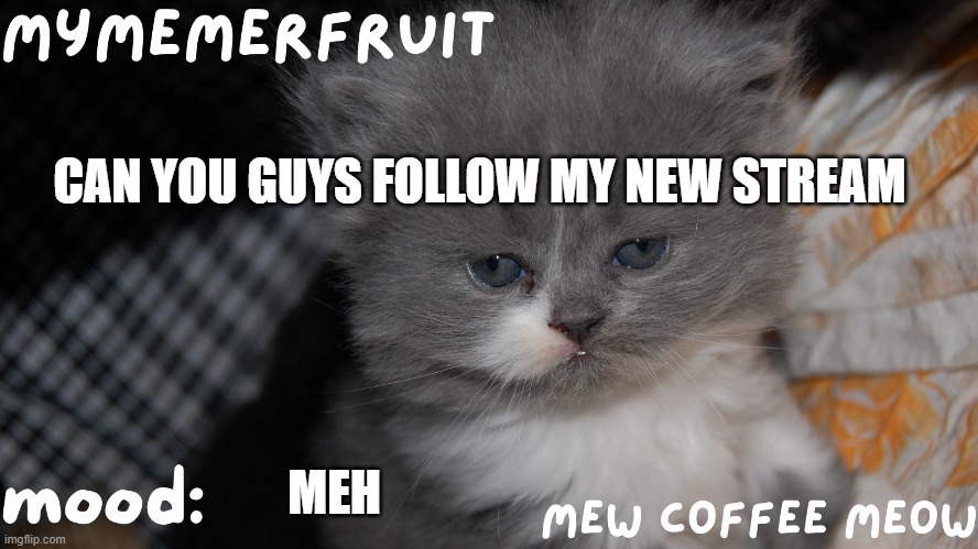 MyMemerFruit Temp 1 | CAN YOU GUYS FOLLOW MY NEW STREAM; MEH | image tagged in mymemerfruit temp 1 | made w/ Imgflip meme maker
