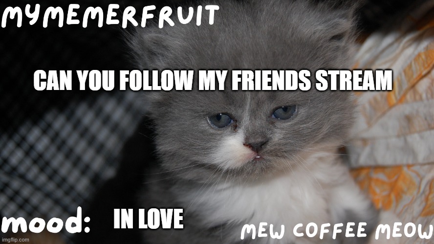 MyMemerFruit Temp 1 | CAN YOU FOLLOW MY FRIENDS STREAM; IN LOVE | image tagged in mymemerfruit temp 1 | made w/ Imgflip meme maker