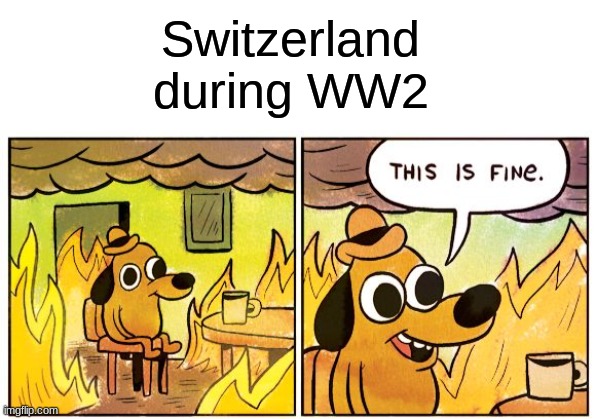 Switzerland during WW2 | image tagged in memes,this is fine,ww2,switzerland,funny,oh wow are you actually reading these tags | made w/ Imgflip meme maker