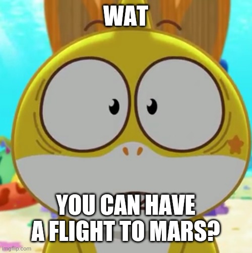 WAT YOU CAN HAVE A FLIGHT TO MARS? | image tagged in the heck was that | made w/ Imgflip meme maker