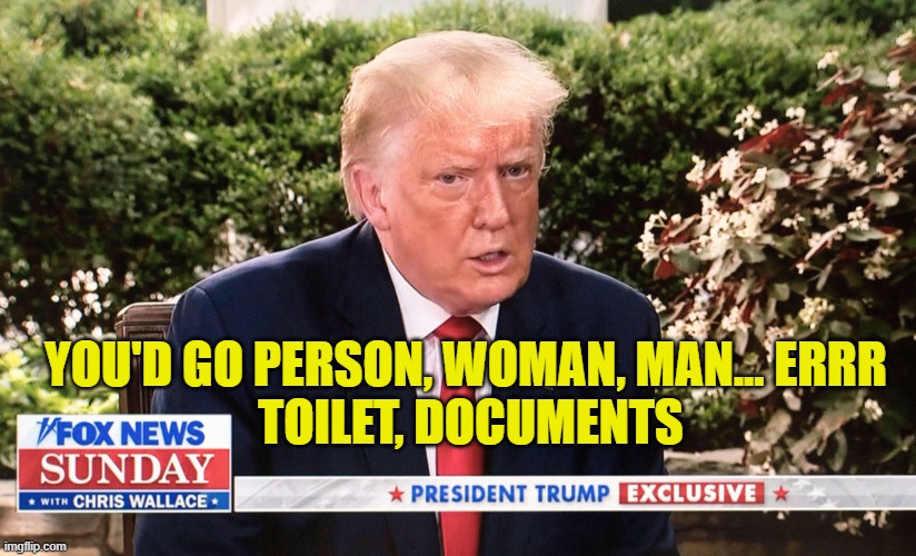 The Freudian slipperies | YOU'D GO PERSON, WOMAN, MAN... ERRR
 TOILET, DOCUMENTS | image tagged in person woman man camera tv,memes,trump,documents,toilet | made w/ Imgflip meme maker