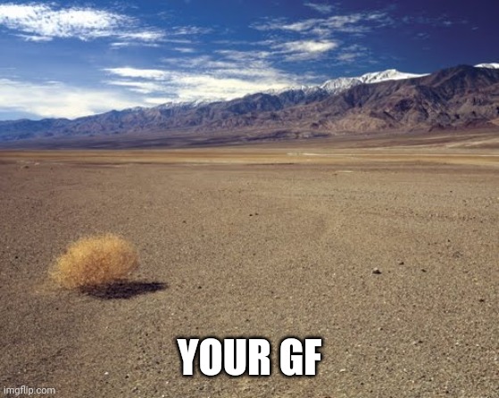 desert tumbleweed | YOUR GF | image tagged in desert tumbleweed | made w/ Imgflip meme maker