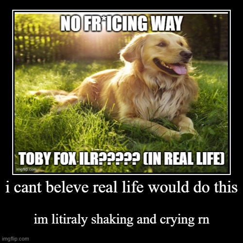 No way?????????????????????/????/?/ | image tagged in memes,toby fox,toby fox spotted irl,irl stands for in real life | made w/ Imgflip demotivational maker