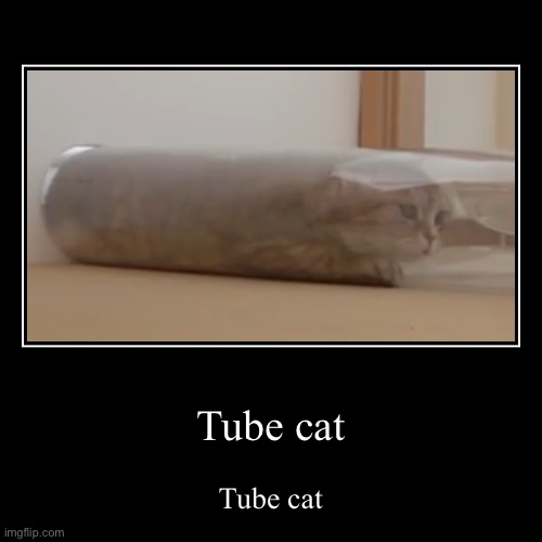 image tagged in funny,demotivationals | made w/ Imgflip demotivational maker