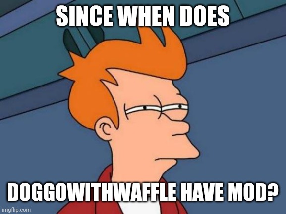 Why tho? | SINCE WHEN DOES; DOGGOWITHWAFFLE HAVE MOD? | image tagged in memes,futurama fry | made w/ Imgflip meme maker