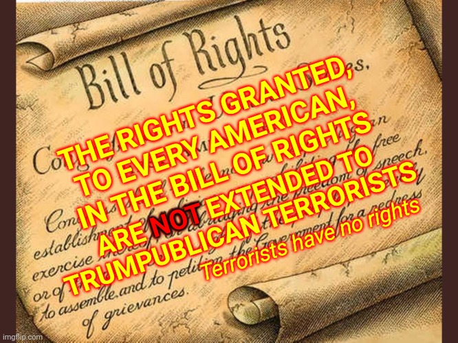 The Bill Of Rights Is Not For Terrorists | THE RIGHTS GRANTED, TO EVERY AMERICAN, IN THE BILL OF RIGHTS; NOT; ARE NOT EXTENDED TO TRUMPUBLICAN TERRORISTS; Terrorists have no rights | image tagged in bill of rights,memes,trumpublican terrorists,terrorists,biggest loser,the constitution | made w/ Imgflip meme maker