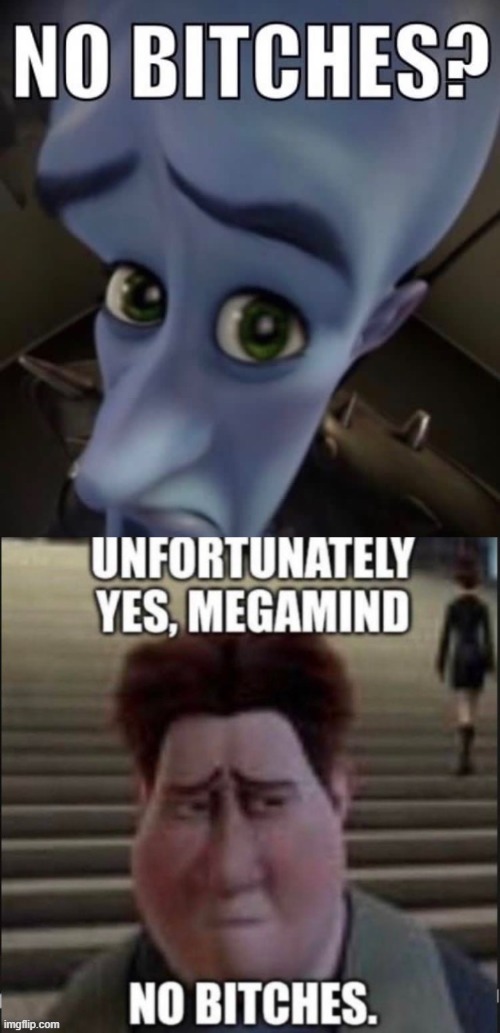 image tagged in no bitches | made w/ Imgflip meme maker