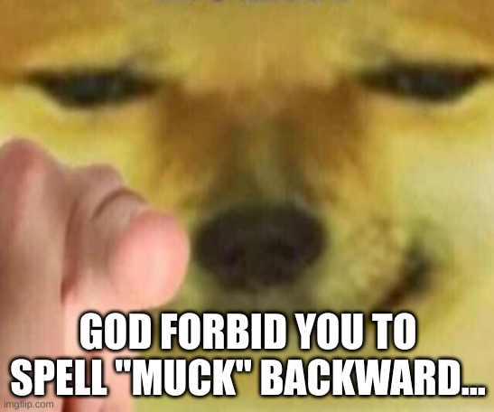 Cheems Pointing At You | GOD FORBID YOU TO SPELL "MUCK" BACKWARD... | image tagged in cheems pointing at you | made w/ Imgflip meme maker