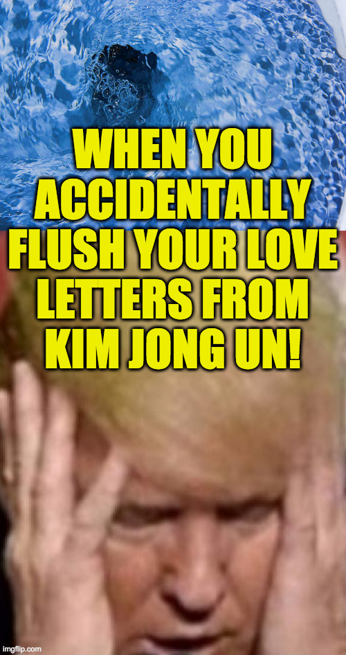 Flush story  <3 <3 <3 | WHEN YOU
ACCIDENTALLY
FLUSH YOUR LOVE
LETTERS FROM
KIM JONG UN! | image tagged in memes,trump,kim jong un,we're in love,flush story | made w/ Imgflip meme maker