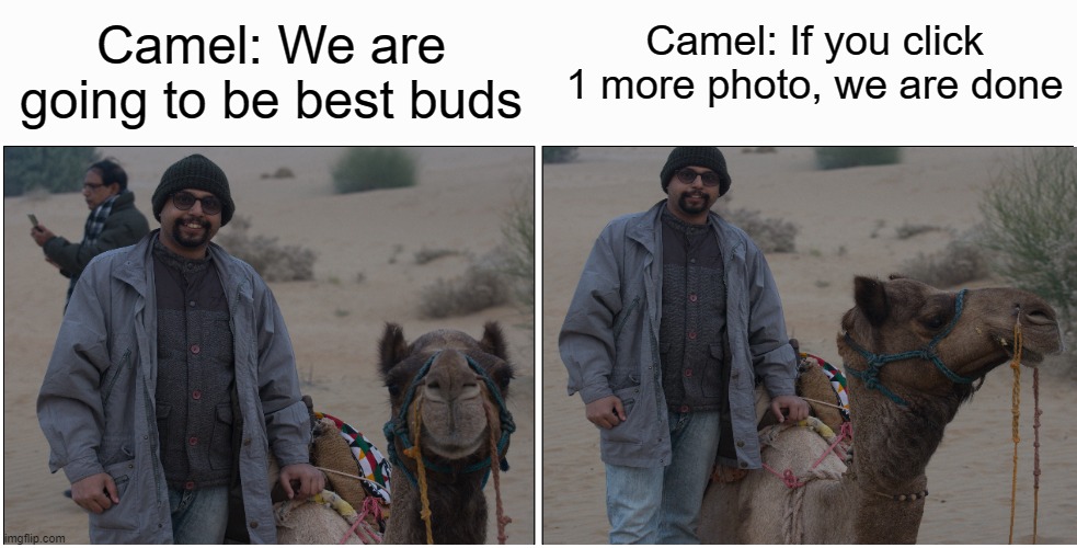 Camel and me |  Camel: We are going to be best buds; Camel: If you click 1 more photo, we are done | image tagged in memes,blank comic panel 2x1 | made w/ Imgflip meme maker