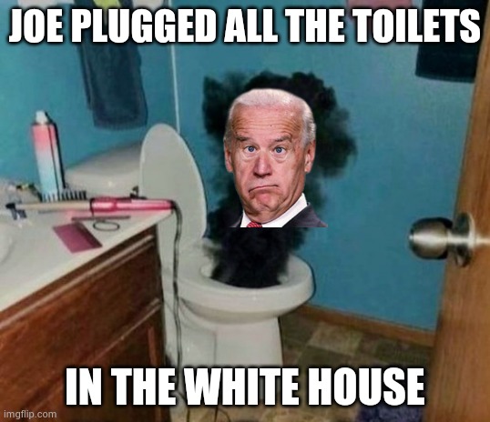 Turdburglar | JOE PLUGGED ALL THE TOILETS IN THE WHITE HOUSE | image tagged in turdburglar | made w/ Imgflip meme maker