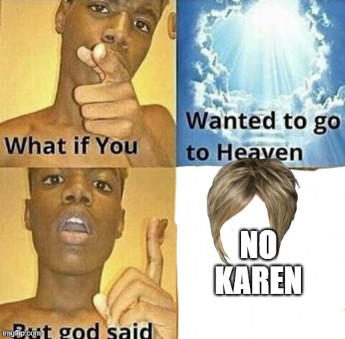 no karen | NO KAREN | image tagged in what if you wanted to go to heaven | made w/ Imgflip meme maker
