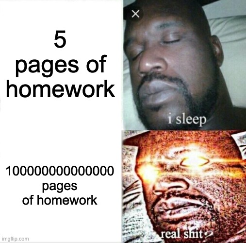 Sleeping Shaq Meme | 5 pages of homework; 100000000000000 pages of homework | image tagged in memes,sleeping shaq | made w/ Imgflip meme maker
