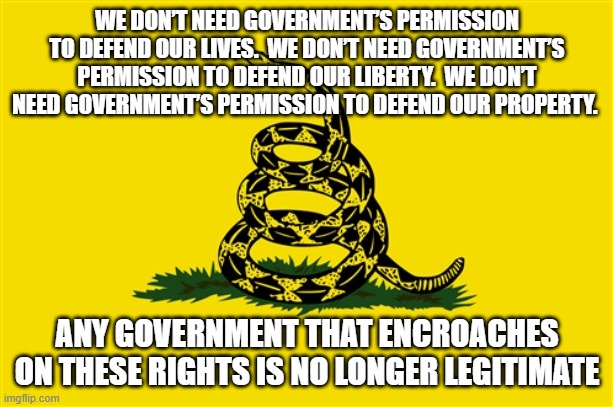 dont tread on me | WE DON’T NEED GOVERNMENT’S PERMISSION TO DEFEND OUR LIVES.  WE DON’T NEED GOVERNMENT’S PERMISSION TO DEFEND OUR LIBERTY.  WE DON’T NEED GOVERNMENT’S PERMISSION TO DEFEND OUR PROPERTY. ANY GOVERNMENT THAT ENCROACHES ON THESE RIGHTS IS NO LONGER LEGITIMATE | image tagged in dont tread on me | made w/ Imgflip meme maker