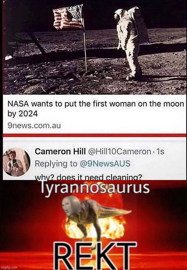 Ouch…that will hurt | image tagged in tyrannosaurus rekt,memes,funny | made w/ Imgflip meme maker