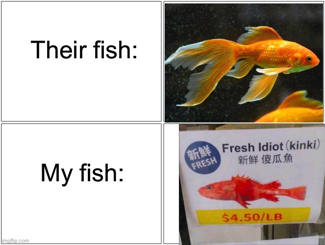 My fish vs. their fish | Their fish:; My fish: | image tagged in memes,blank comic panel 2x2 | made w/ Imgflip meme maker