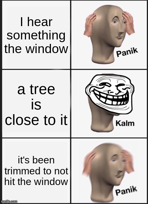 Panik Kalm Panik | I hear something the window; a tree is close to it; it's been trimmed to not hit the window | image tagged in memes,panik kalm panik | made w/ Imgflip meme maker
