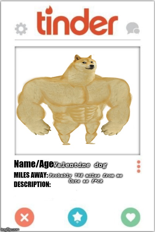 Tinder Profile | Probably 798 miles from me


Cute as f*ck Valentine dog | image tagged in tinder profile | made w/ Imgflip meme maker