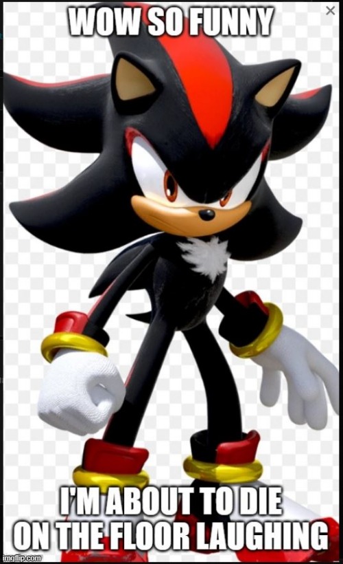 Wow so funny, I'm about to die on the floor laughing | image tagged in wow so funny i'm about to die on the floor laughing | made w/ Imgflip meme maker