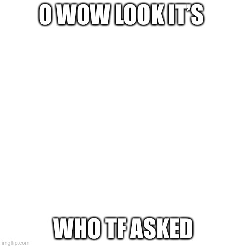 Blank Transparent Square Meme | O WOW LOOK IT’S; WHO TF ASKED | image tagged in memes,blank transparent square | made w/ Imgflip meme maker