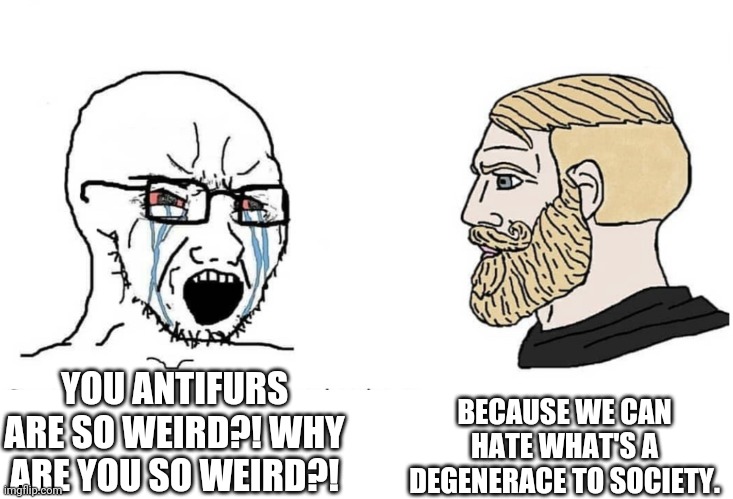 Soyboy Vs Yes Chad | YOU ANTIFURS ARE SO WEIRD?! WHY ARE YOU SO WEIRD?! BECAUSE WE CAN HATE WHAT'S A DEGENERACE TO SOCIETY. | image tagged in soyboy vs yes chad | made w/ Imgflip meme maker