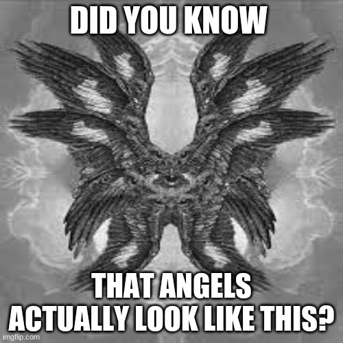 What they look like | DID YOU KNOW; THAT ANGELS ACTUALLY LOOK LIKE THIS? | image tagged in angel | made w/ Imgflip meme maker