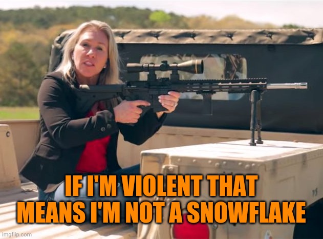 Q Crazy | IF I'M VIOLENT THAT MEANS I'M NOT A SNOWFLAKE | image tagged in q crazy | made w/ Imgflip meme maker