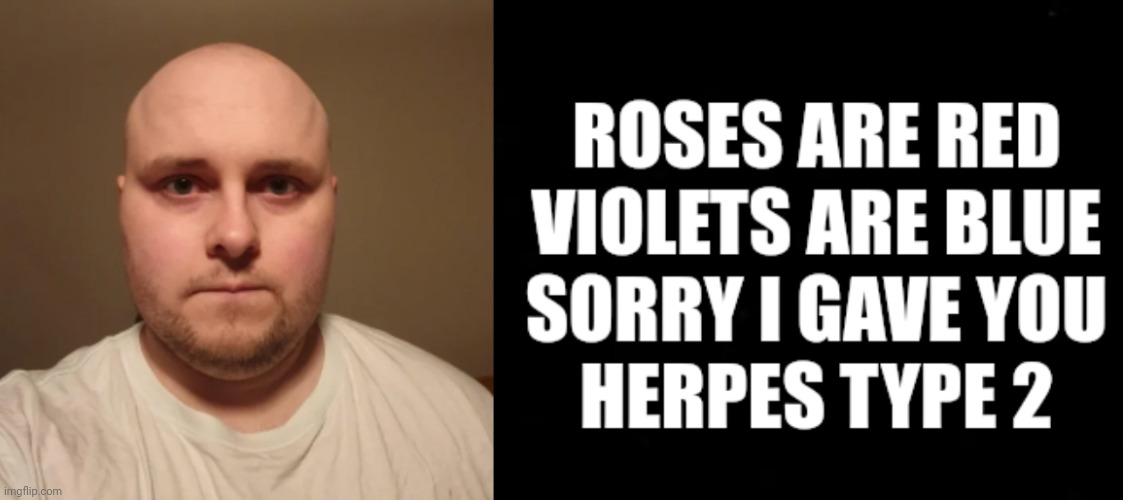 Apology | image tagged in roses are red,herpes,funny memes,poem,funny | made w/ Imgflip meme maker